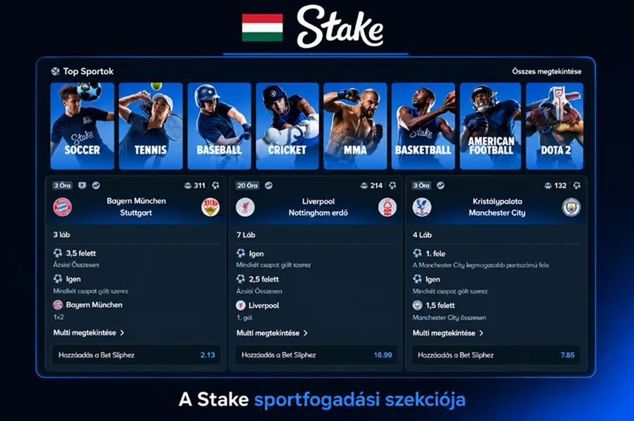 A Stake sportfogadási felülete